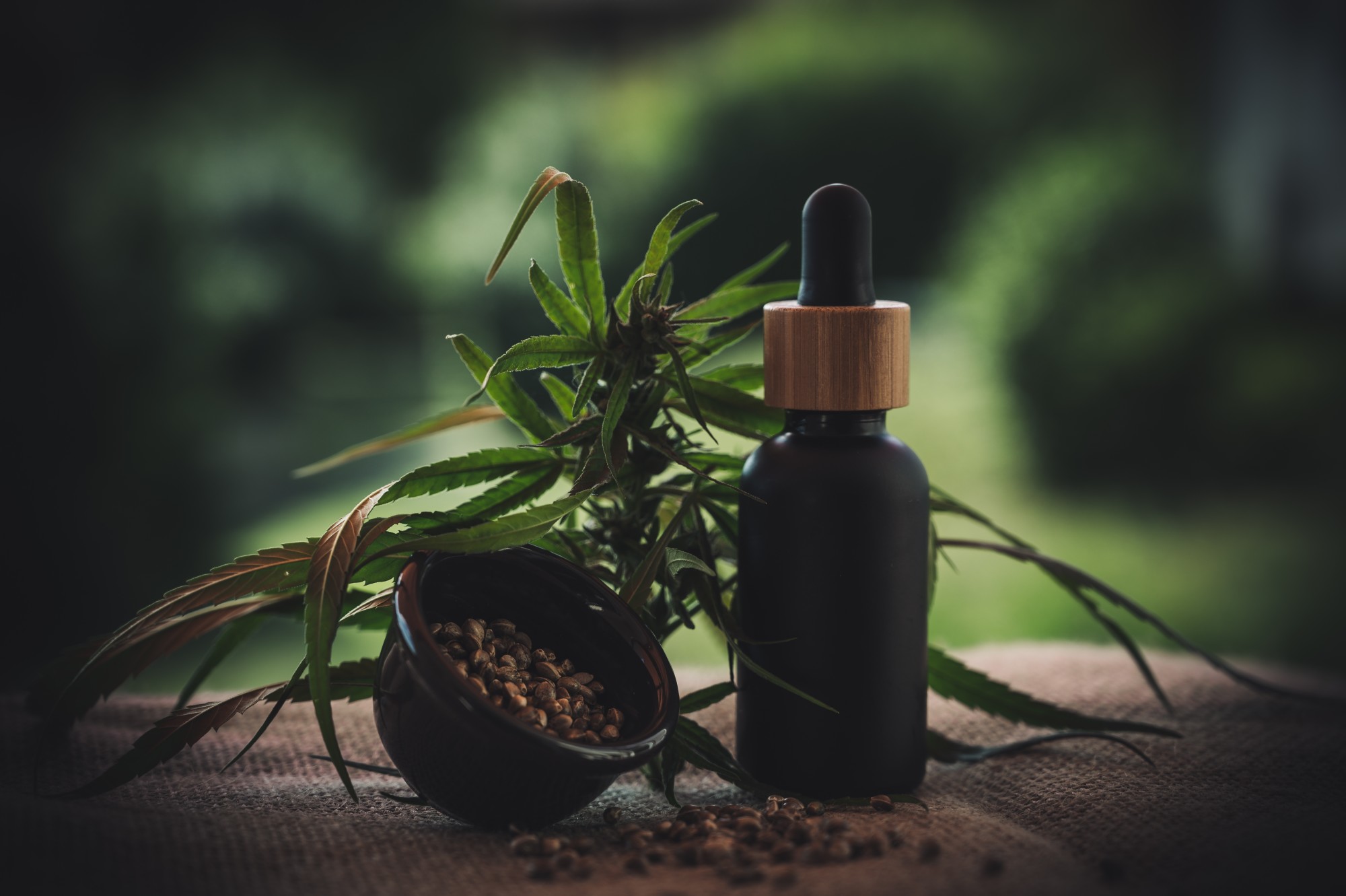 More and more people are starting to experience the benefits of CBD. If you want to join in on the fun, these are the different types of CBD to try.