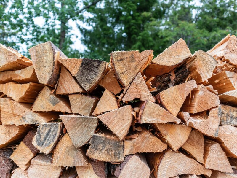 Discover the Benefits of Using Oak as Your Go-To Firewood